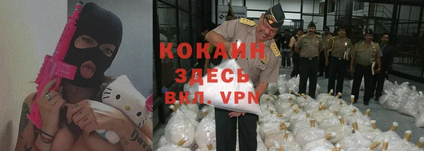 спайс Няндома