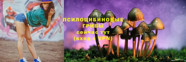 a pvp Алзамай