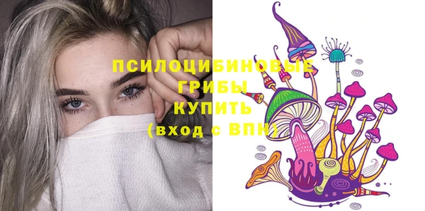 спайс Няндома