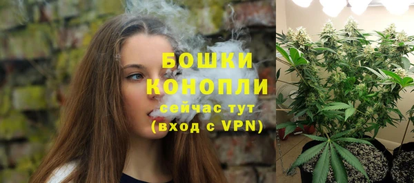 спайс Няндома