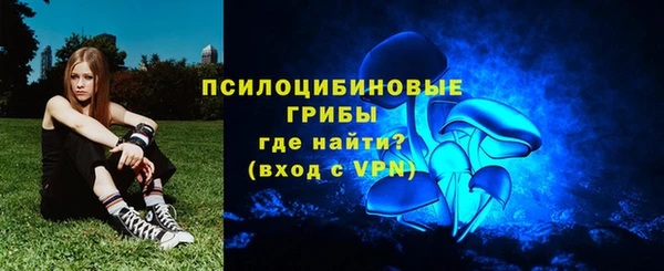 a pvp Алзамай