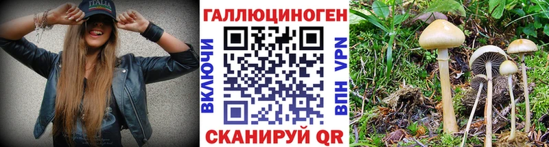 Псилоцибиновые грибы Psilocybine cubensis  хочу наркоту  Невьянск 