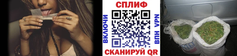 Марихуана план  Невьянск 